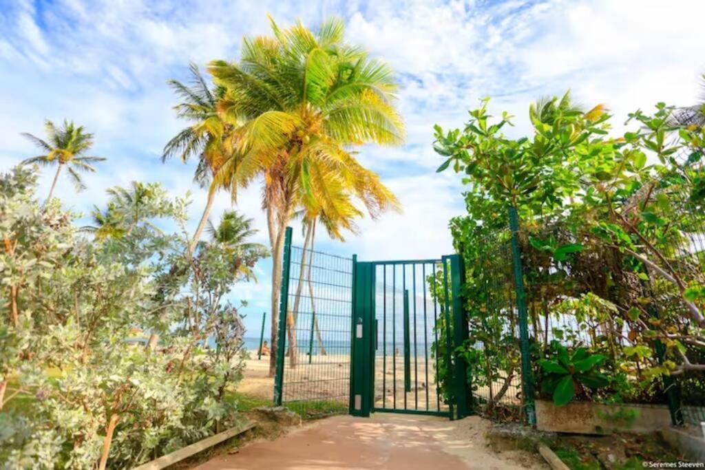 Paradis Studio & Plage A 1 Min Le Gosier  Exterior foto